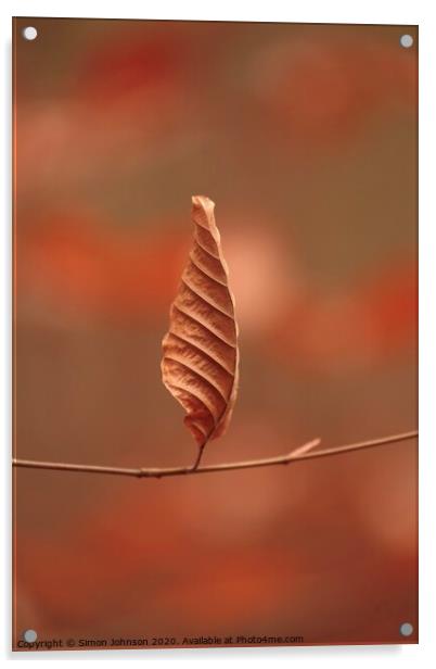 Beech leaf standing tgo attention Acrylic by Simon Johnson