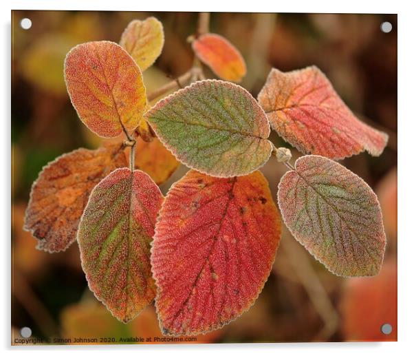 Frosted autumn  leaves Acrylic by Simon Johnson