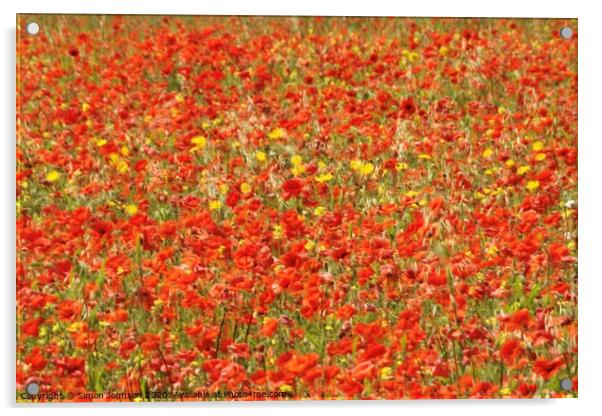 poppy Field Acrylic by Simon Johnson