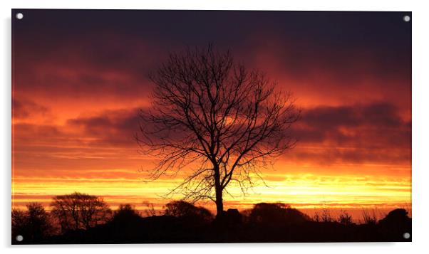  Cotswold sunrise Acrylic by Simon Johnson