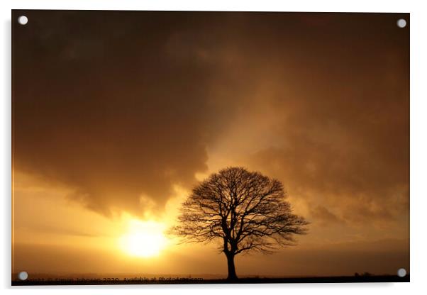 Sunrise storm Acrylic by Simon Johnson