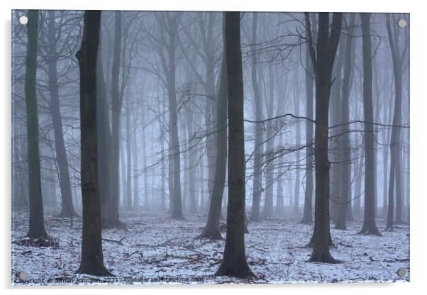 Winter Woodland mist Acrylic by Simon Johnson