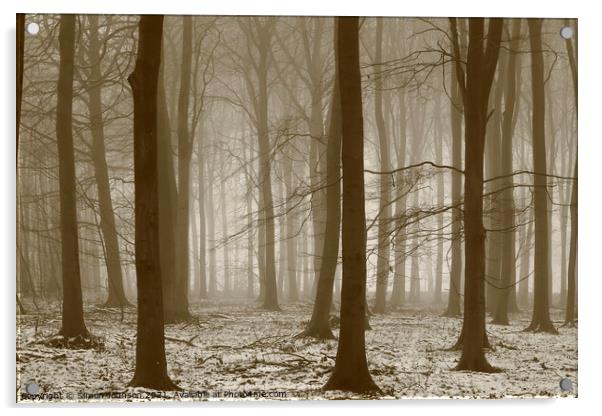  Winter woodland, Acrylic by Simon Johnson
