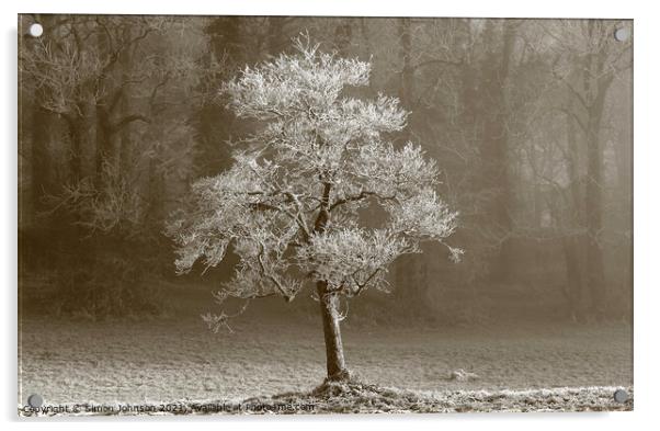 Winter tree Hoar frost Acrylic by Simon Johnson