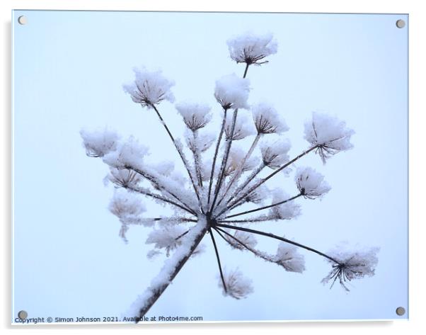 Frosted grass Acrylic by Simon Johnson