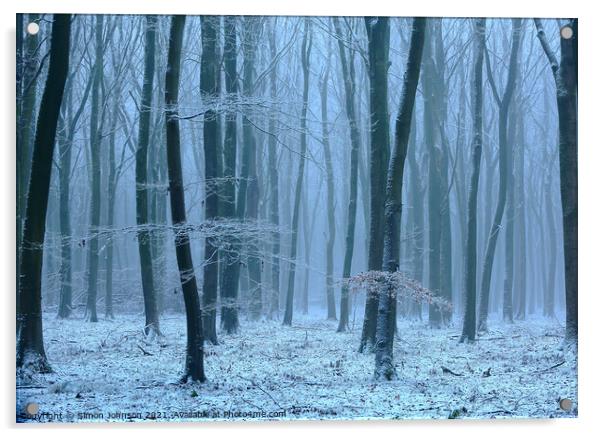 Winter wood, snow and fog Acrylic by Simon Johnson
