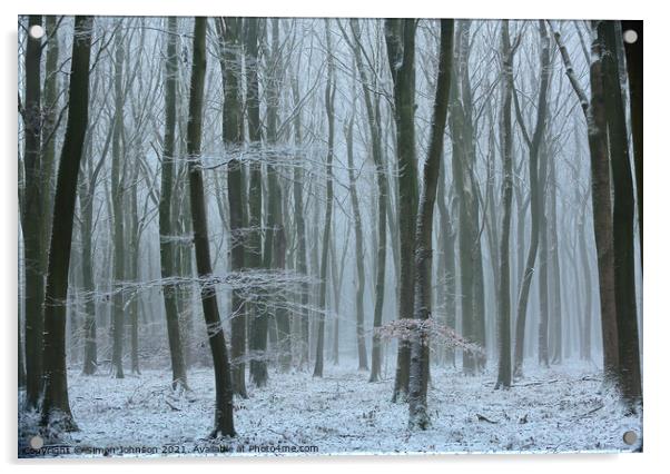 Frosted woodland Acrylic by Simon Johnson