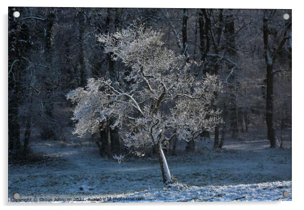 Sunlit hoar frost Acrylic by Simon Johnson