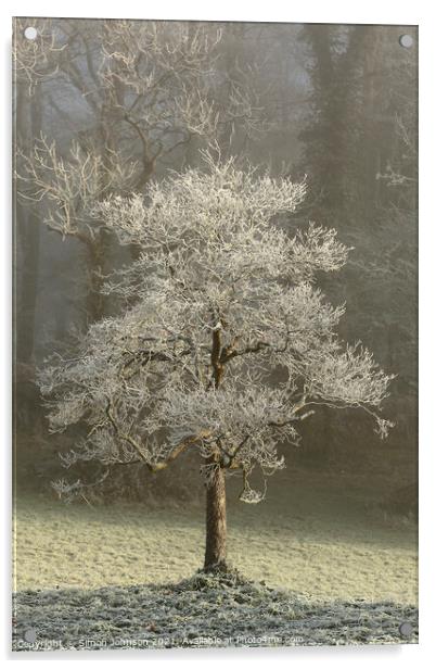Hoar frost Broadway Woods  Acrylic by Simon Johnson