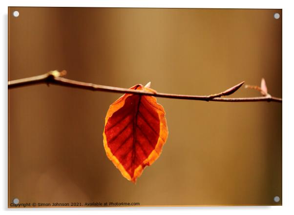 last leaf Acrylic by Simon Johnson