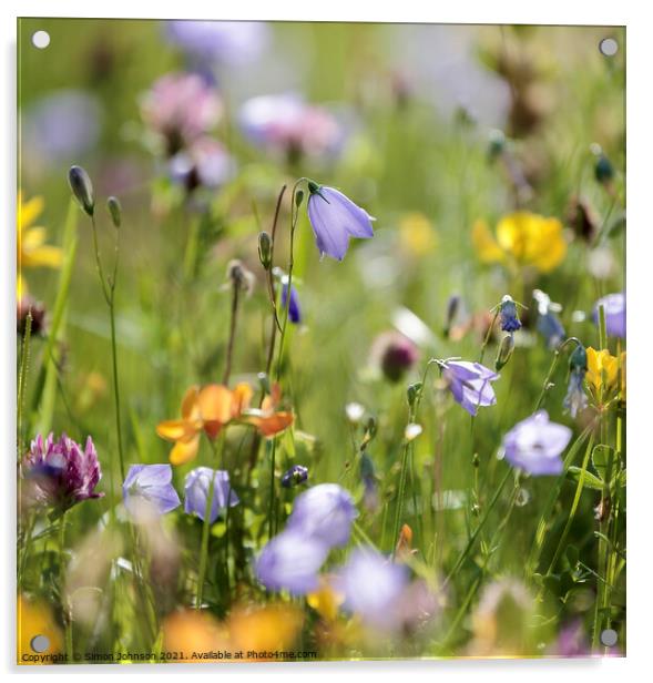 meadow  flowers Acrylic by Simon Johnson