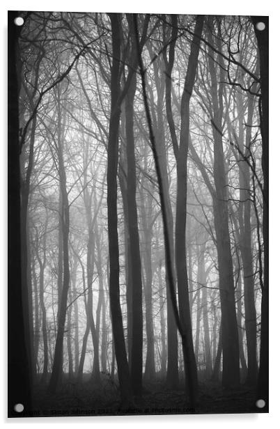woodland symmetry Acrylic by Simon Johnson