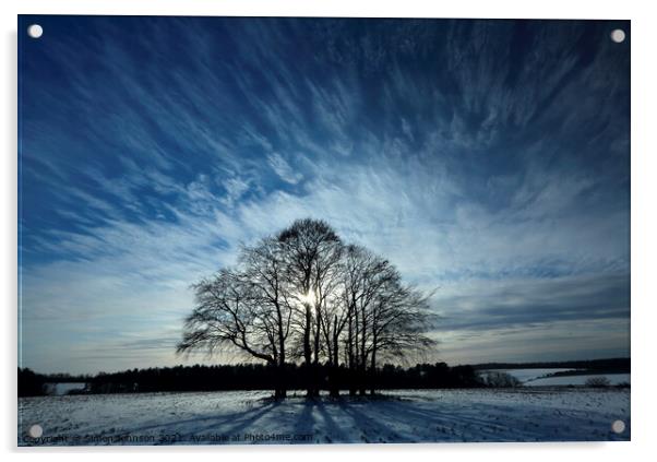 trres and dramatic sky Acrylic by Simon Johnson