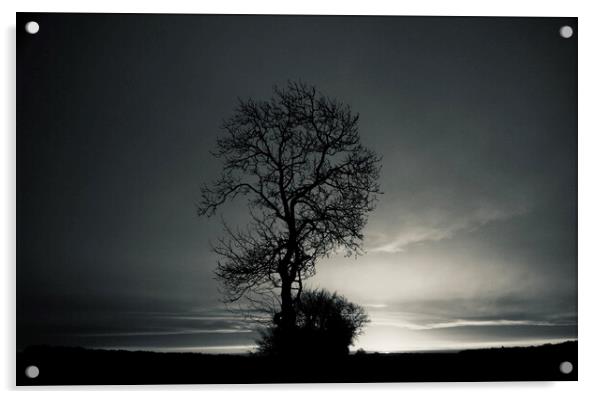 Tree at dawn Acrylic by Simon Johnson