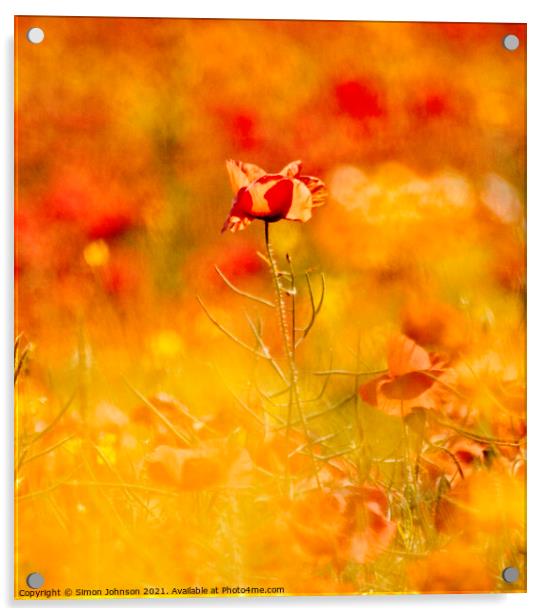 creatrive impressionist image of poppy Acrylic by Simon Johnson