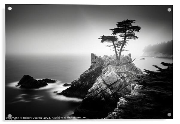 Lone Cypress Monterey Acrylic by Robert Deering