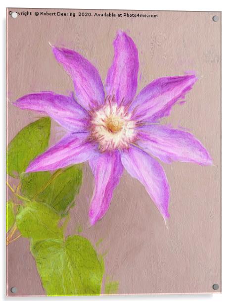 Clematis single bloom Acrylic by Robert Deering