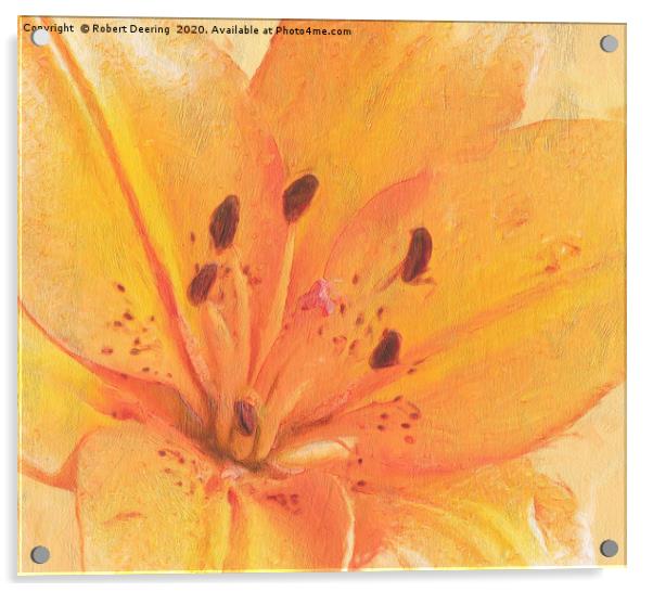 Orange lily close up Acrylic by Robert Deering