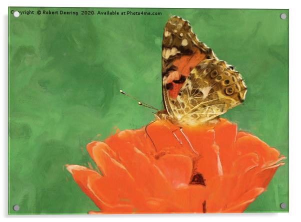 Painted lady on poppy Acrylic by Robert Deering
