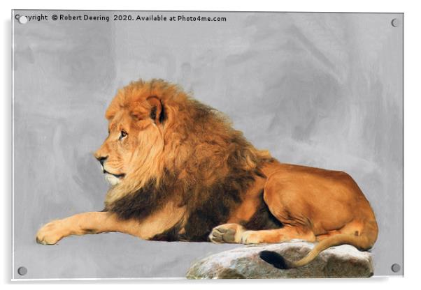 Male Lion Laying Down Acrylic by Robert Deering