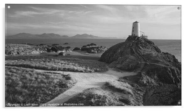 The Path to Tŵr Mawr Monochrome Acrylic by Liam Neon