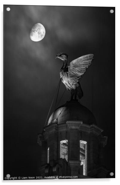 Monochrome Lunar Liverbird, Liverpool Waterfront Acrylic by Liam Neon
