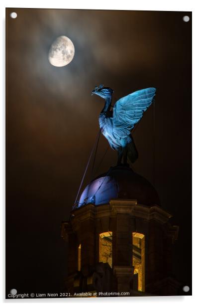 Lunar Liverbird, Liverpool Waterfront Acrylic by Liam Neon