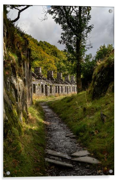 Anglesey Barracks, Dinorwig Quarry Acrylic by Liam Neon