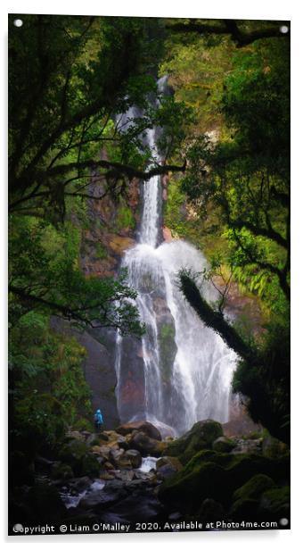 Waterfall in Dusky Sound, New Zealand Acrylic by Liam Neon