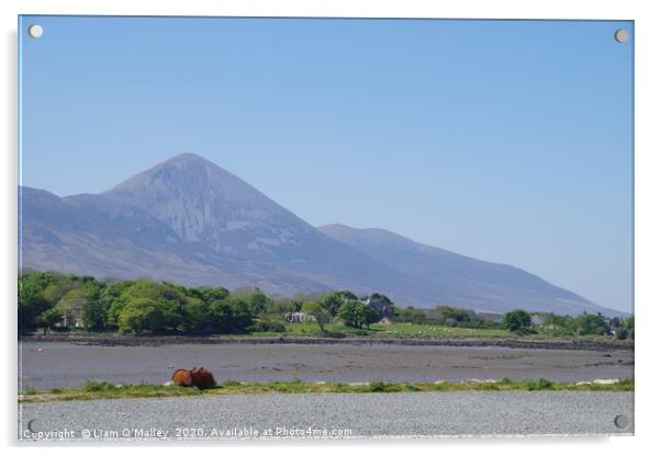Croagh Patrick from Westport Quay Acrylic by Liam Neon