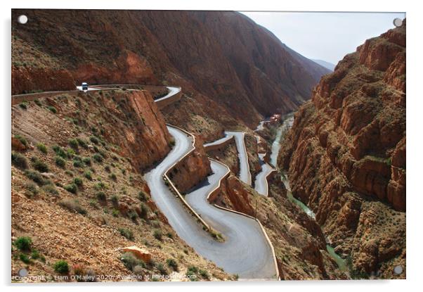 Dades Gorge Ribbon Road Acrylic by Liam Neon