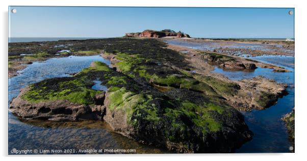 Hilbre Island Rock Pools Acrylic by Liam Neon