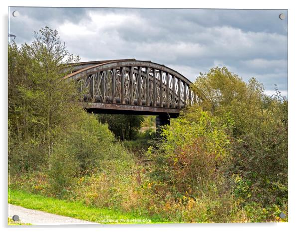 Disused Railway Bridge Acrylic by Angela Cottingham