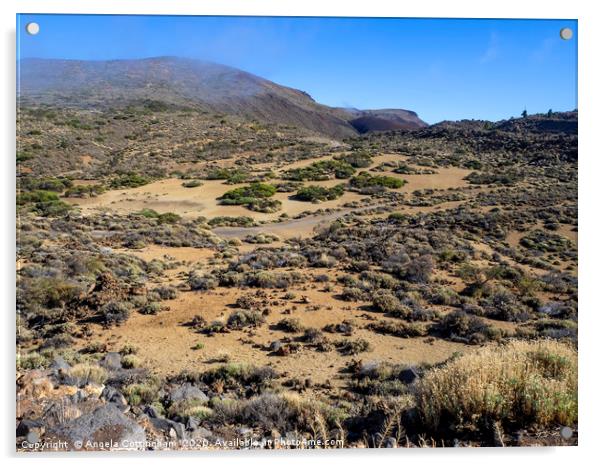 Landscape in the Teide National Park, Tenerife Acrylic by Angela Cottingham