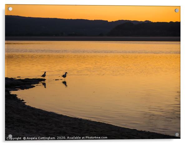 Seagulls at Sunset Acrylic by Angela Cottingham