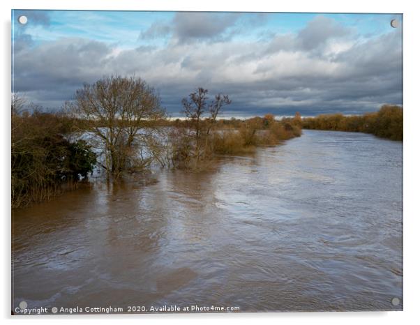 Flooding River Ouse Acrylic by Angela Cottingham