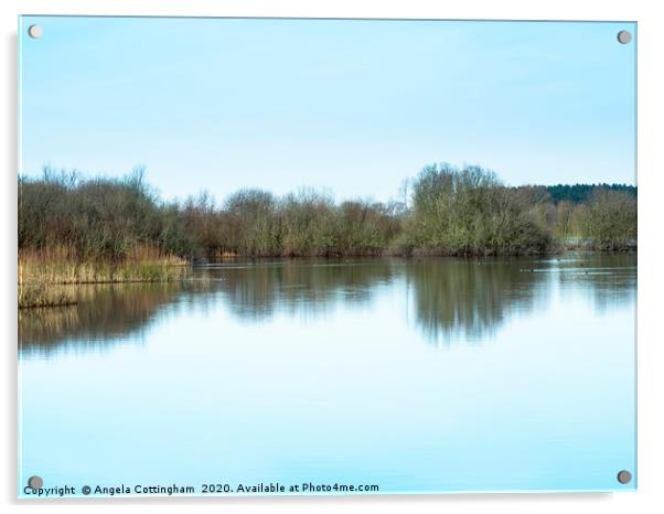 Calm Day at Wheldrake Ings Acrylic by Angela Cottingham