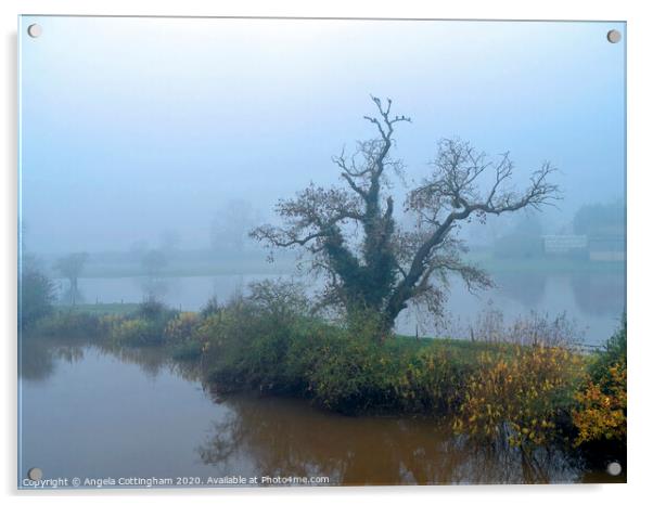 Misty Morning Acrylic by Angela Cottingham