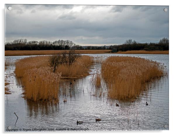 Far Ings Nature Reserve Acrylic by Angela Cottingham