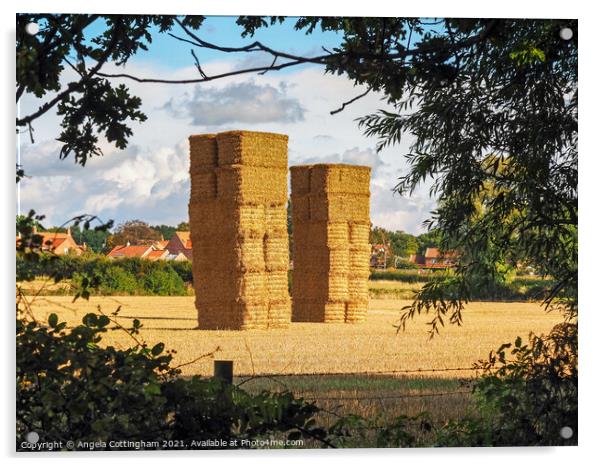 Two Tall Haystacks Acrylic by Angela Cottingham