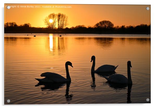 Three Swans   Acrylic by Aimie Burley