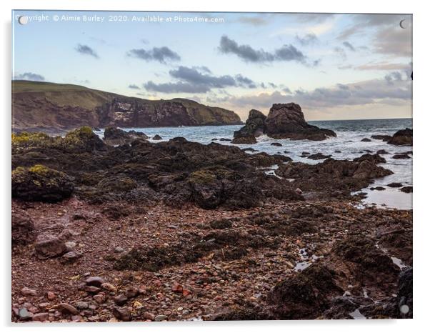 St Abbs, Eyemouth Acrylic by Aimie Burley