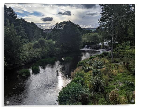 River Aln, Alnwick Acrylic by Aimie Burley