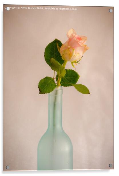 Rose in Bottle Acrylic by Aimie Burley