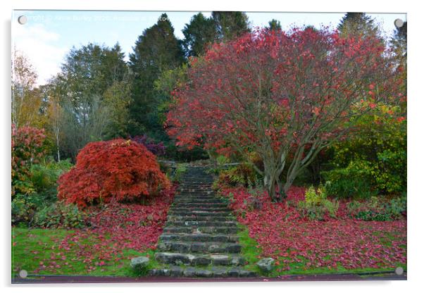 Carlisle Park, Morpeth in Autumn   Acrylic by Aimie Burley