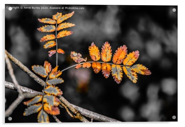 Golden Autumn Leaves Acrylic by Aimie Burley