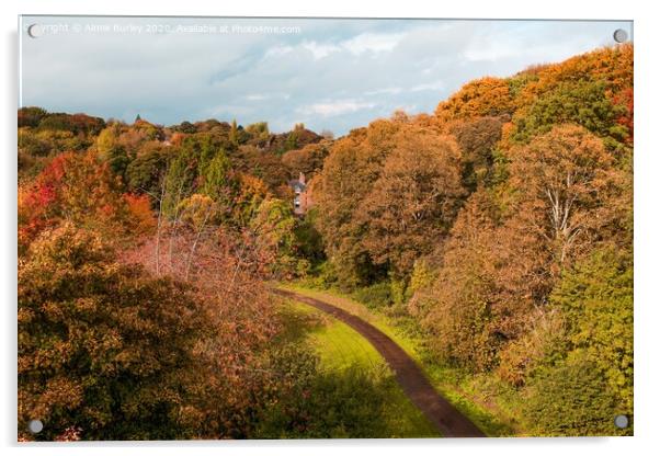 Jesmond Dene in Autumn  Acrylic by Aimie Burley