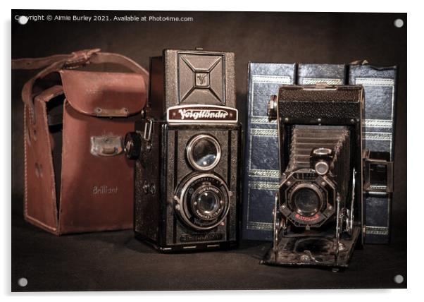 A couple of old cameras  Acrylic by Aimie Burley