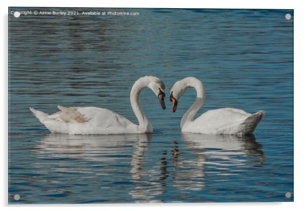 Pair of swans   Acrylic by Aimie Burley