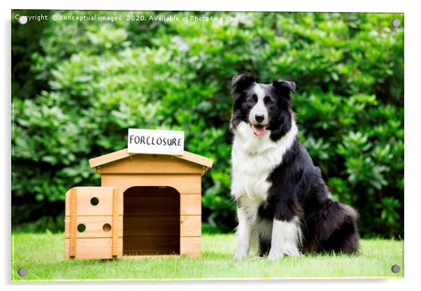Sheepdog standing beside dog house  Acrylic by conceptual images